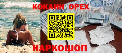 a pvp Гатчина