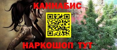 a pvp Гатчина