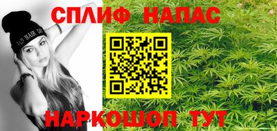 a pvp Гатчина
