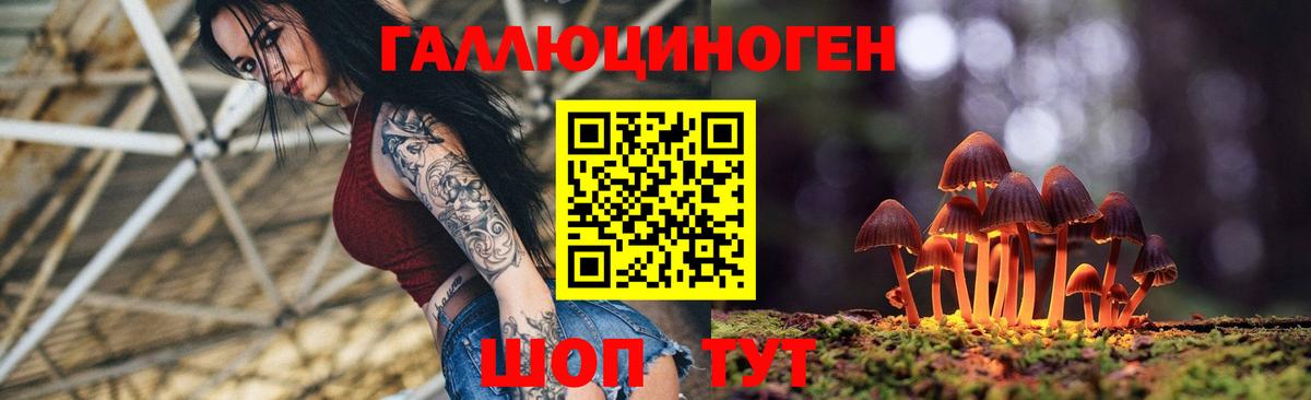 Псилоцибиновые грибы мицелий  Вход с VPN  Петропавловск-Камчатский 